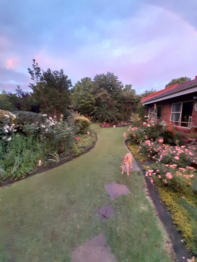 Amani Guest House Clarens Kültér fotó
